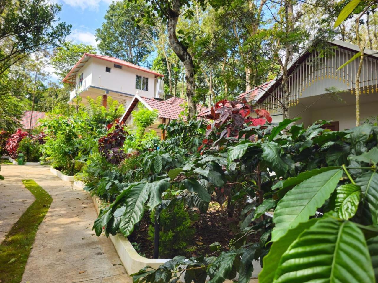 Coorg Orange Blossom Resort And Spa Suntikoppa Экстерьер фото
